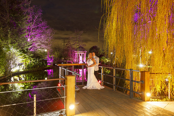 bride-groom-colourful-lighting