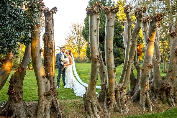 bride-and-groom-behind-trees