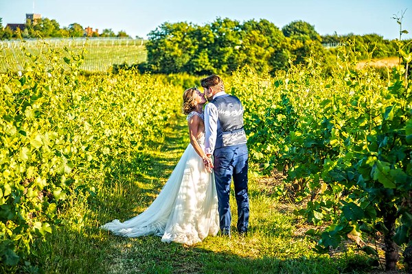 bride-and-groom-in-vineyard